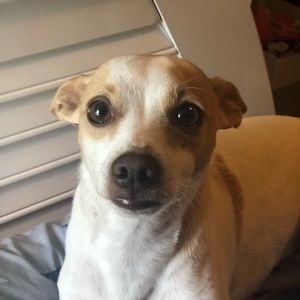 Meet your Posher, Adrienne